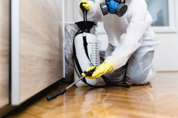 Best Pest Control for Homes  in Lochearn, MD