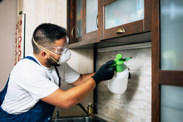 Best Pest Control Near Me  in Lochearn, MD