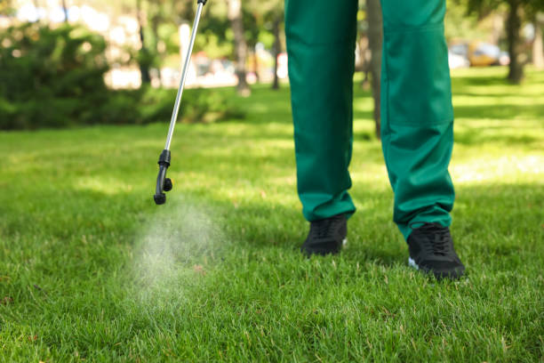 Reliable Lochearn, MD Pest Control Solutions