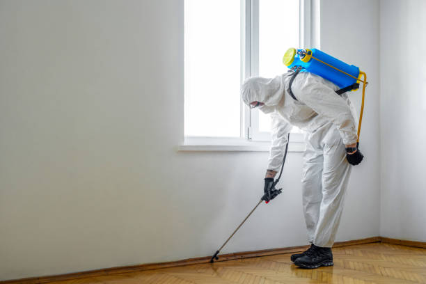 Best Best Pest Control Companies  in Lochearn, MD