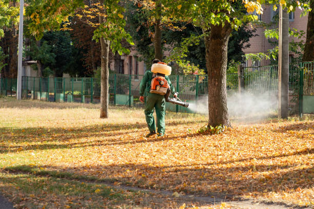 Best Wildlife Control Services  in Lochearn, MD