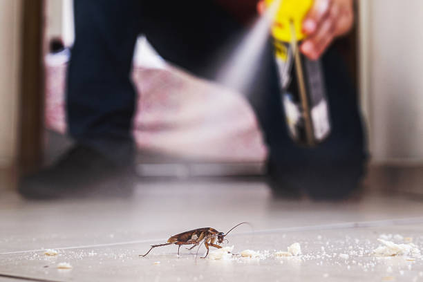 Pest Control for Restaurants in Lochearn, MD