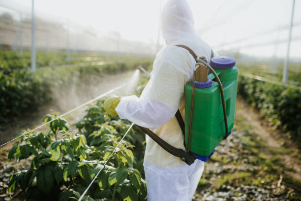 Best Pest Removal Services  in Lochearn, MD